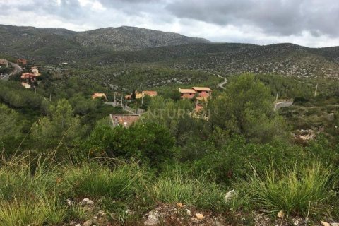 Land plot for sale in Olivella, Barcelona, Spain No. 186538 - photo 5
