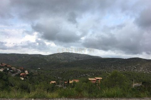 Land plot for sale in Olivella, Barcelona, Spain No. 186538 - photo 4