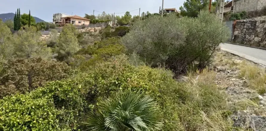Land plot in Olivella, Barcelona, Spain No. 186538