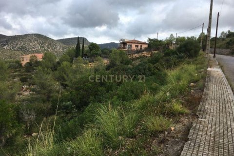 Land plot for sale in Olivella, Barcelona, Spain No. 186538 - photo 3