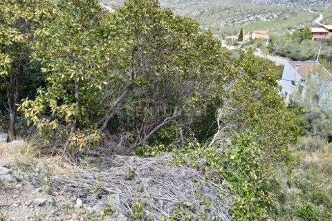 Land plot for sale in Olivella, Barcelona, Spain No. 186538 - photo 2
