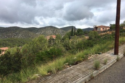 Land plot for sale in Olivella, Barcelona, Spain No. 186538 - photo 6