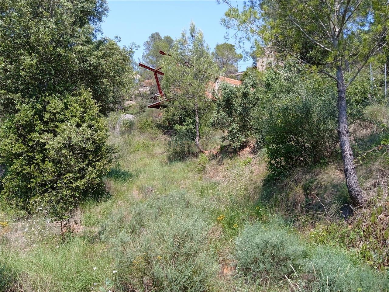 Tontti Vacarisses, Barcelona, Espanja No. 186540