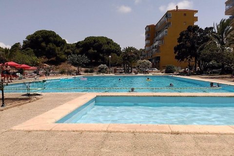 Apartment for sale in La Mata, Alicante, Spain 2 bedrooms, 72 sq.m. No. 191992 - photo 7