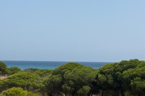Apartamento en La Mata, Alicante, España 2 dormitorios, 72 m2 No. 191992