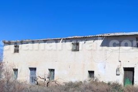 Дом в Канилес, Гранада, Испания 195м2 №184195
