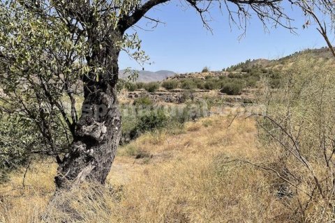 Talo myytävänä Purchena, Almeria, Espanja, 4 makuuhuonetta, 200 m2 No. 184193 - kuva 11