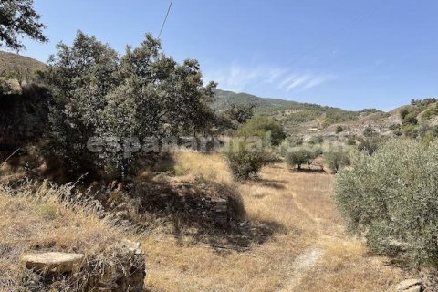 Talo myytävänä Purchena, Almeria, Espanja, 4 makuuhuonetta, 200 m2 No. 184193 - kuva 15