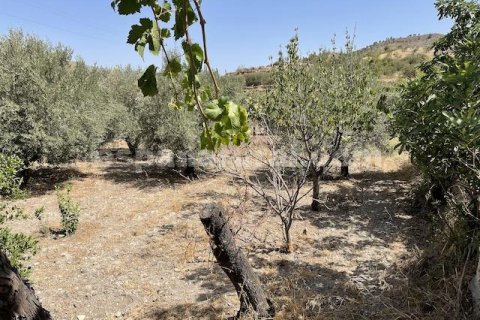 Talo myytävänä Purchena, Almeria, Espanja, 4 makuuhuonetta, 200 m2 No. 184193 - kuva 13