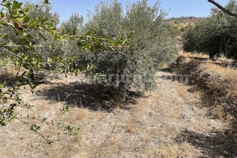 Talo myytävänä Purchena, Almeria, Espanja, 4 makuuhuonetta, 200 m2 No. 184193 - kuva 10