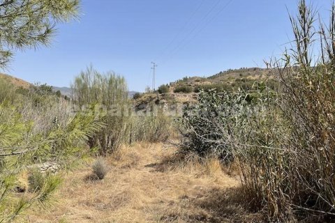 Talo myytävänä Purchena, Almeria, Espanja, 4 makuuhuonetta, 200 m2 No. 184193 - kuva 17