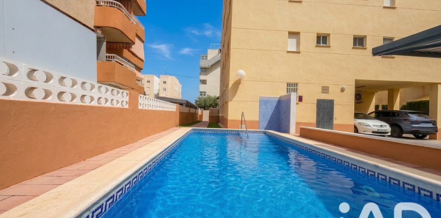 Apartament w Daimus, Valencia, Hiszpania 3 sypialnie, 101 mkw. nr 187684