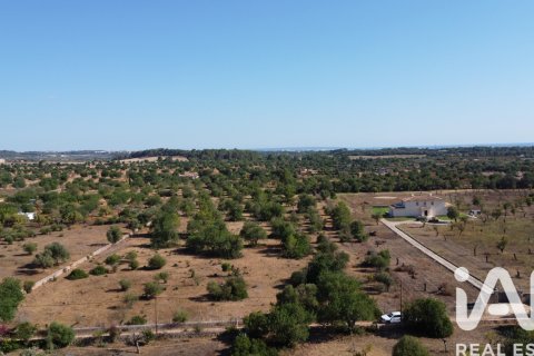 Parcela en venta en Mallorca, España 20781 m2 No. 187687 - foto 6