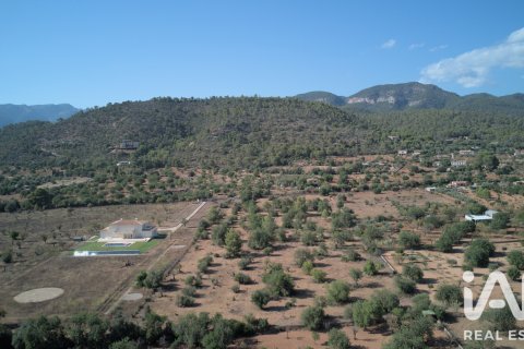 Parcela en venta en Mallorca, España 20781 m2 No. 187687 - foto 4