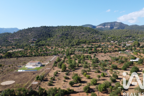 Parcela en Mallorca, España 20781 m2 No. 187687