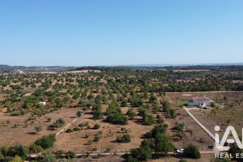 Parcela en venta en Mallorca, España 20781 m2 No. 187687 - foto 5