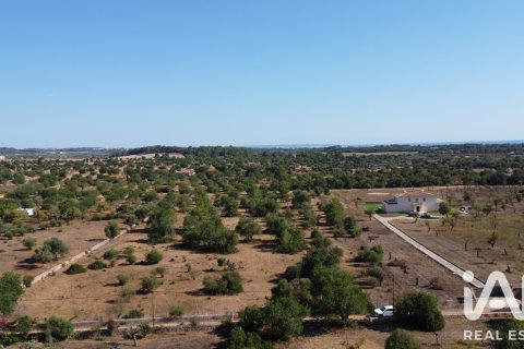 Parcela en venta en Mallorca, España 20781 m2 No. 187687 - foto 2