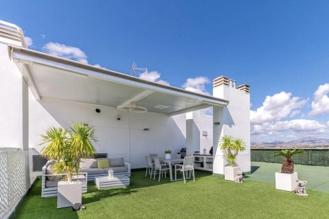 Penthäuser zum Verkauf in Alicante, Spanien 5 Schlafzimmer, 253 m2 Nr. 177537 - Foto 17