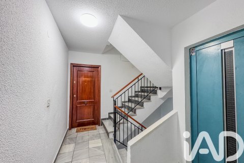 Apartment à vendre à Elche, Alicante, Espagne, 5 chambres, 105 m2 No. 172391 - photo 20