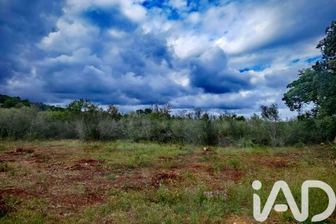 Land zum Verkauf in Costitx, Mallorca, Spanien 28250 m2 Nr. 172387 - Foto 3