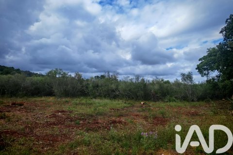 Land zum Verkauf in Costitx, Mallorca, Spanien 28250 m2 Nr. 172387 - Foto 5