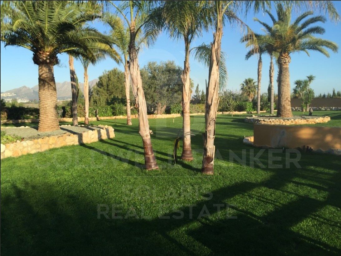 Villa à Pedreguer, Alicante, Espagne 5 chambres,  No. 157287
