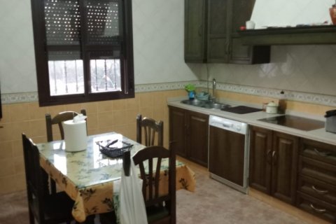 Продажа коммерческой недвижимости в Каньяда Росаль, Севилья, Испания 152м2 №153887 - фото 10