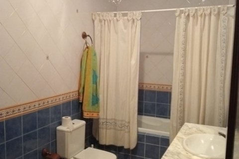 Продажа коммерческой недвижимости в Каньяда Росаль, Севилья, Испания 152м2 №153887 - фото 24