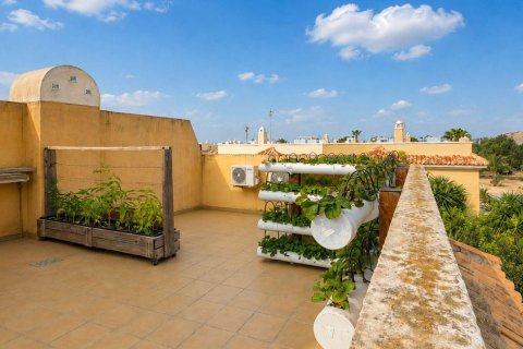 House zum Verkauf in Rojales, Alicante, Spanien 4 Schlafzimmer, 104 m2 Nr. 192262 - Foto 5
