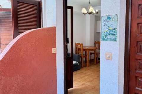 Wohnung zum Verkauf in La Mata, Alicante, Spanien 32 m2 Nr. 192264 - Foto 14