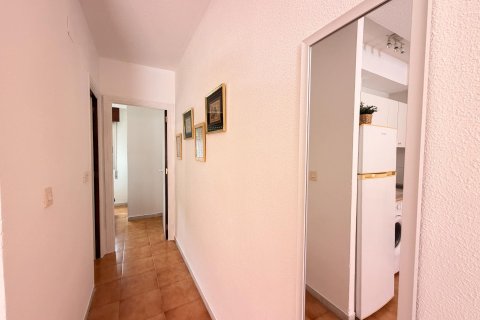 Wohnung zum Verkauf in La Mata, Alicante, Spanien 32 m2 Nr. 192264 - Foto 8