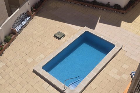 Appartamento in vendita a Torrevieja, Alicante, Spagna 33 mq. N° 192263 - foto 15