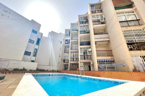 Appartamento in vendita a Torrevieja, Alicante, Spagna 33 mq. N° 192263 - foto 19