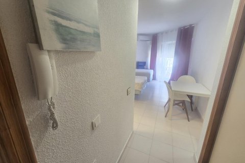 Appartamento in vendita a Torrevieja, Alicante, Spagna 33 mq. N° 192263 - foto 11