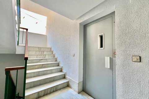 Appartamento in vendita a Torrevieja, Alicante, Spagna 33 mq. N° 192263 - foto 14