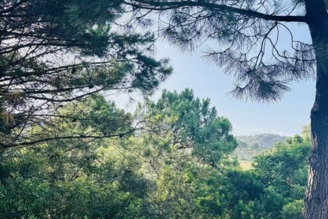 Land zum Verkauf Benahavis, Malaga, Spanien Nr. 133971 - Foto 4