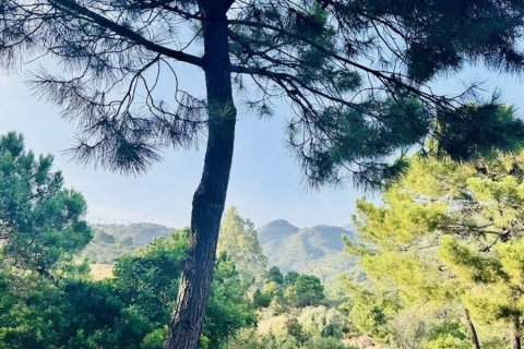Land zum Verkauf Benahavis, Malaga, Spanien Nr. 133971 - Foto 5