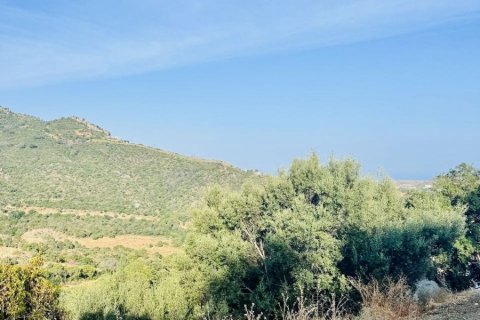 Land zum Verkauf Benahavis, Malaga, Spanien Nr. 133971 - Foto 6