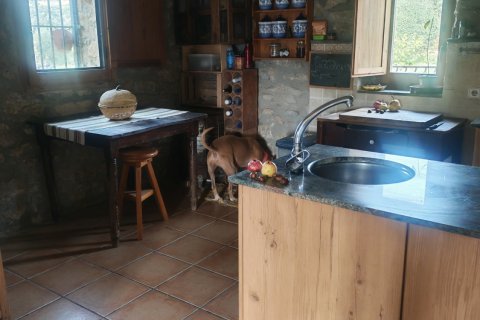 Dom w Artesa de Segre, Lleida, Hiszpania 5 sypialni, 617 mkw. nr 152857 – zdjęcie 5