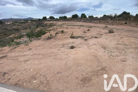 Terreno in vendita a Alicante, Spagna 16200 mq. N° 152863 - foto 6