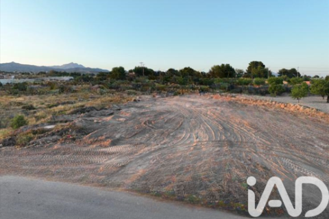 Terreno in vendita a Alicante, Spagna 16200 mq. N° 152863 - foto 5