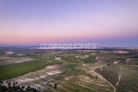 Wohnung zum Verkauf in San Miguel de Salinas, Alicante, Spanien 2 Schlafzimmer, 92 m2 Nr. 104618 - Foto 30