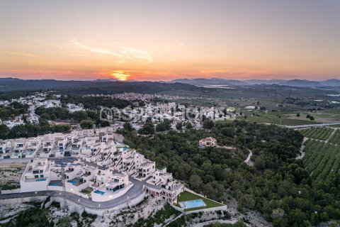 Attico in vendita a San Miguel de Salinas, Alicante, Spagna 2 camere da letto, 92 mq. N° 104619 - foto 25