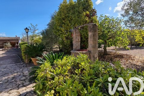 Māja pārdošanā Palma de Majorca, Mallorca, Spānijā 9 istabas, 588 m2 Nr. 172607 - attēls 12
