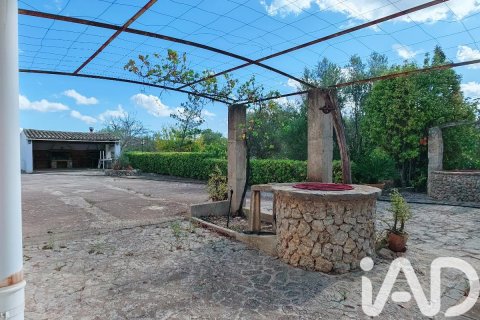 Māja pārdošanā Palma de Majorca, Mallorca, Spānijā 9 istabas, 588 m2 Nr. 172607 - attēls 10