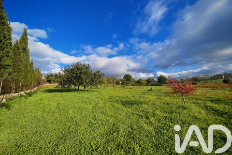 Māja pārdošanā Palma de Majorca, Mallorca, Spānijā 9 istabas, 588 m2 Nr. 172607 - attēls 2