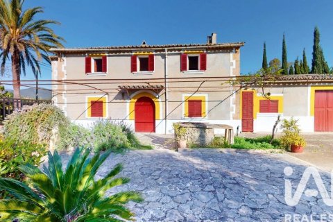 Māja pārdošanā Palma de Majorca, Mallorca, Spānijā 9 istabas, 588 m2 Nr. 172607 - attēls 25