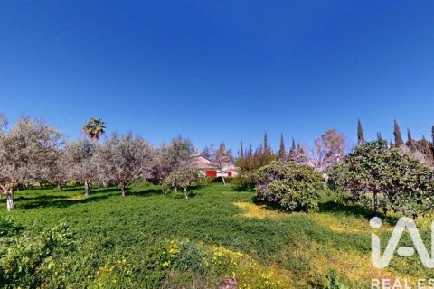 Māja pārdošanā Palma de Majorca, Mallorca, Spānijā 9 istabas, 588 m2 Nr. 172607 - attēls 23