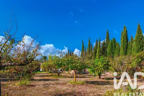 Māja pārdošanā Palma de Majorca, Mallorca, Spānijā 9 istabas, 588 m2 Nr. 172607 - attēls 4