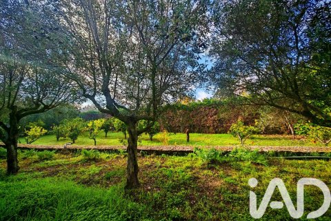 Māja pārdošanā Palma de Majorca, Mallorca, Spānijā 9 istabas, 588 m2 Nr. 172607 - attēls 26